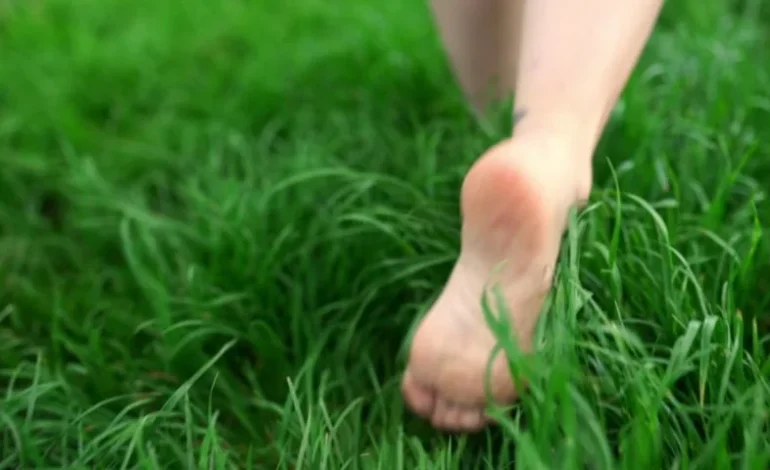 नंगे पैर हरी घास पर चलने से बढ़ती है आंखों की रोशनी…सच या मिथ्या? एक्सपर्ट ने दूर किया कंफ्यूजन