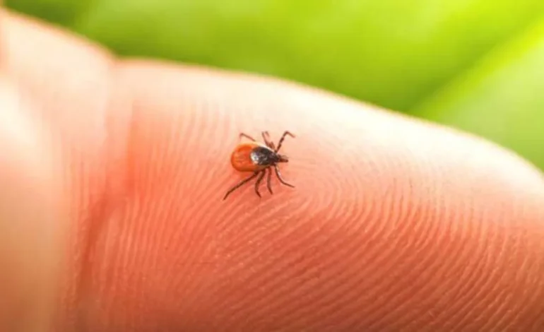 कोरोना के बाद अब इस वायरस का खतरा, WHO ने किया अलर्ट; बुखार जैसे हैं लक्षण