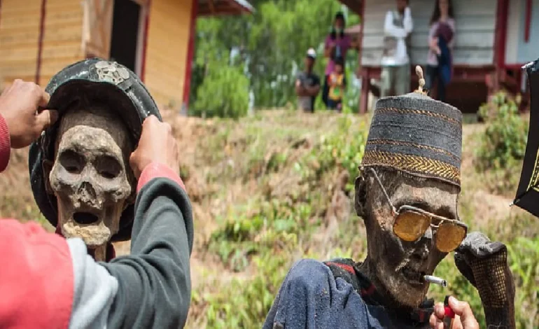 मुर्दों का शहर: पिरामिडों के देश मिस्र में खोजा गया प्राचीन कब्रिस्तान, 300 ममियां मिलीं, ज्यादातर कंकाल बच्चों के