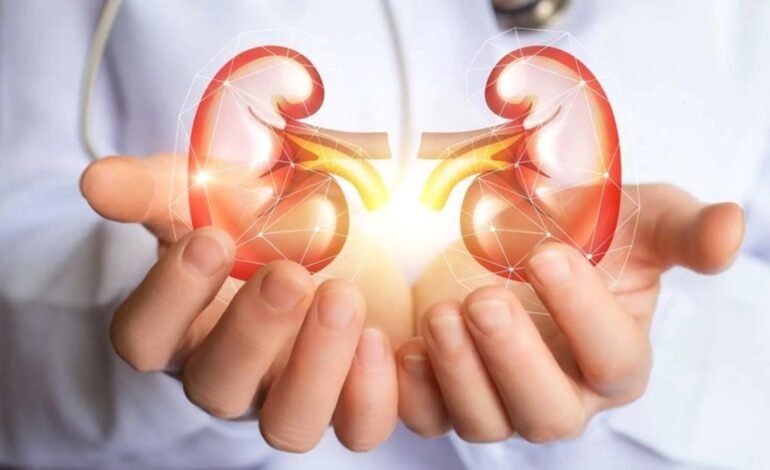 Kidney Health को सुधारने में मददगार हैं ये 5 फूड्स, हेल्दी रहने के लिए करें डाइट में शामिल