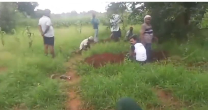 MP.Damoh News: दोनी गांव में खुदाई के दौरान जमीन से निकल रहे काले मोती, पहले निकली थी प्राचीन प्रतिमाएं