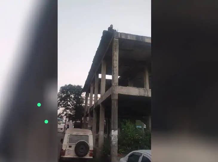 Bhopal में महिला टीचर ने छत से कूदकर दी जान, लिव-इन पार्टनर से विवाद के बाद उठाया