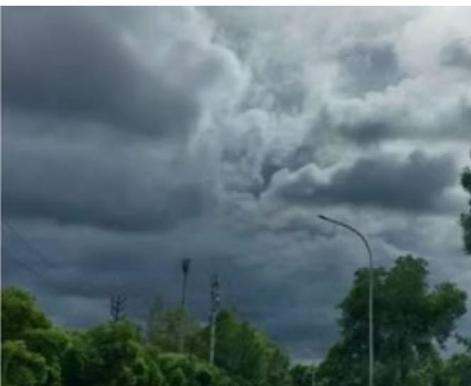 MP Weather Today: मध्य प्रदेश में उत्तरी हवाओं का असर, तापमान में आई गिरावट